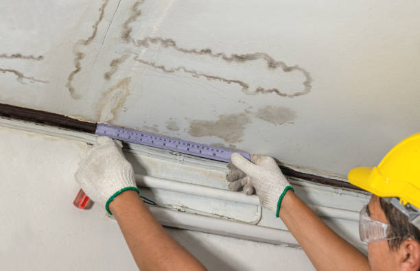 Reliable Mold Remediation contractor in Warsaw, OH by Water Damage Irwin